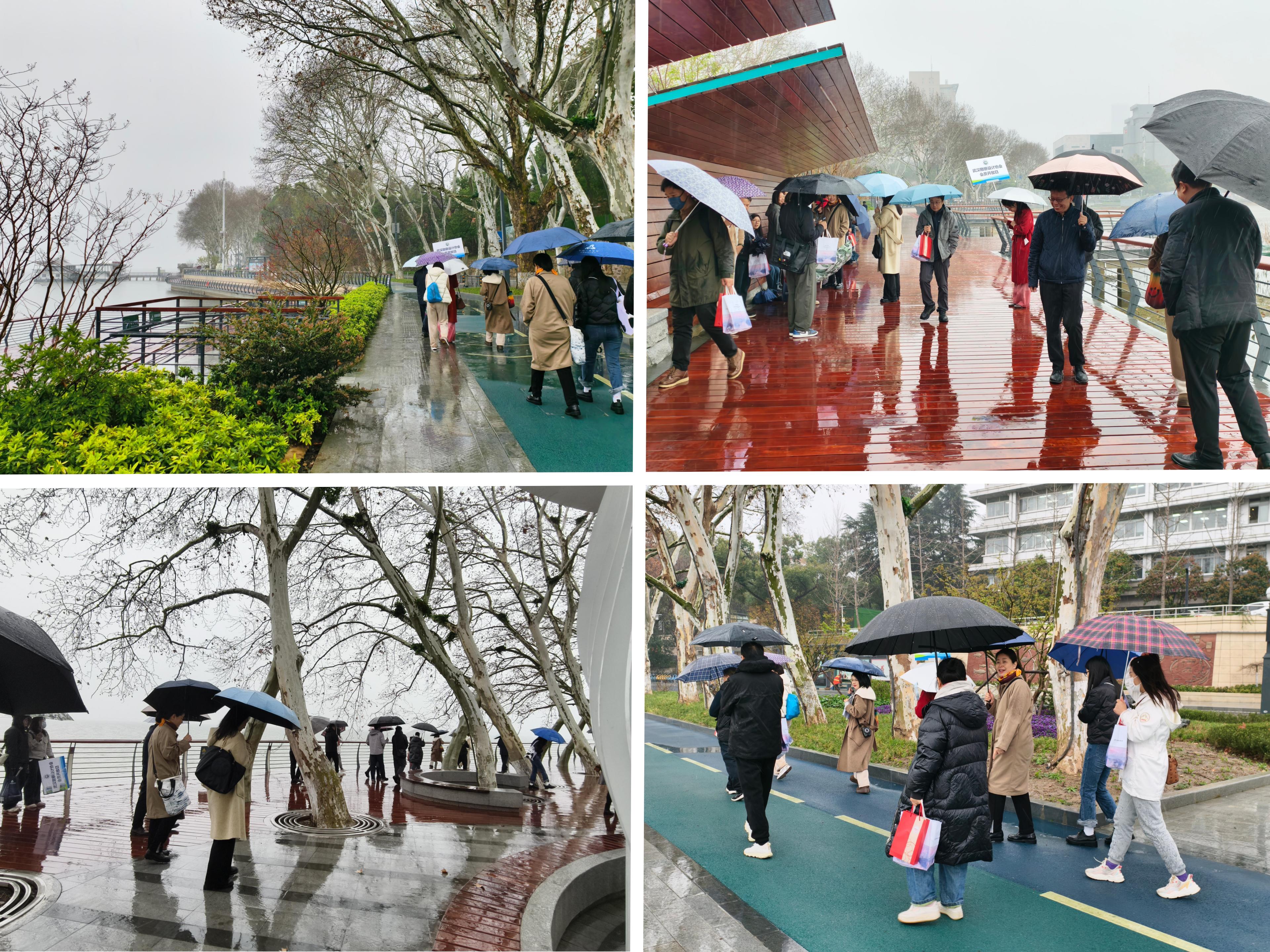 武漢勘察設計協會會員開放日——走近武漢生態環境設計院 “匠心筑夢 綠映湖光”活動成功舉辦